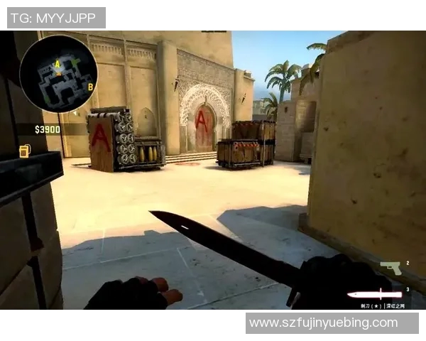 TES战队在CSGO比赛中的防守策略分析与成败得失探讨